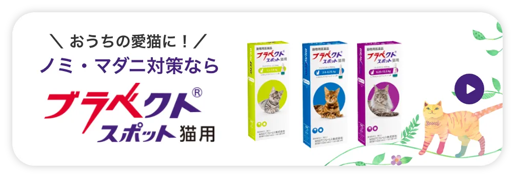 ブラベクトスポット猫用商品の画像