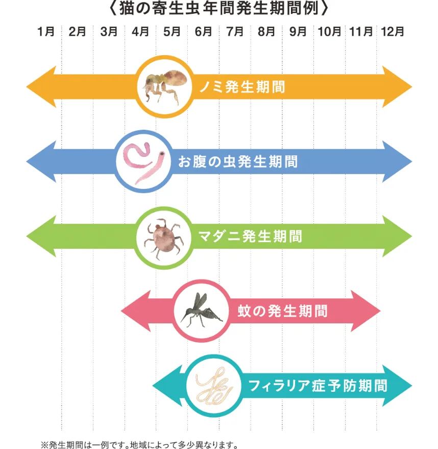 猫の寄生虫の年間発生件数を表した図